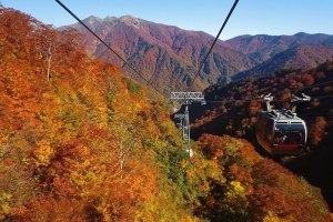 The dizzying heights of the ropeway offer some amazing views