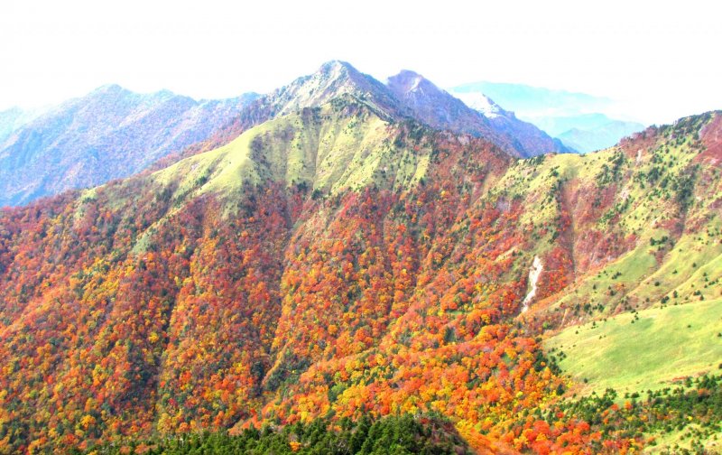 Mt. Ishizuchi, Ehime