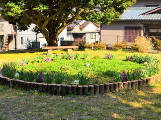 和倉中町公園の花壇