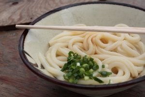 Sanuki udon noodles