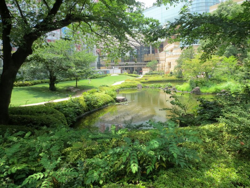 A glimpse of the pond looking towards Mori Tower