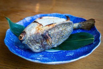 “Box” blowfish, stuffed with miso, is a local delicacy