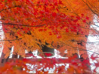 秋バージョン、紅葉の鐘楼
