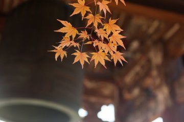 Leaves and the bell