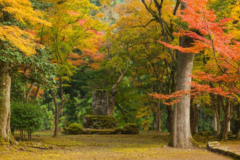 Территория храма Когэндзи - потрясающий пейзаж куда ни глянь