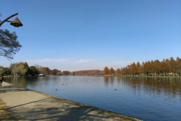 Mizumoto Park 