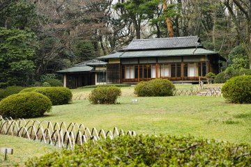 Meiji Jingu Garden
