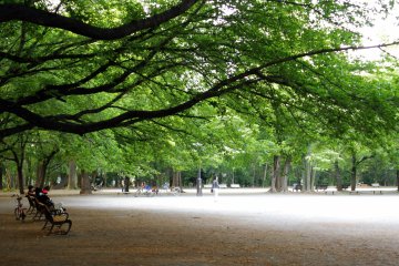 Rinshi no Mori Park