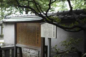 A small plaque lies beneath a maple tree. This supplies information in Japanese whilst the English sign is just a little further to the right