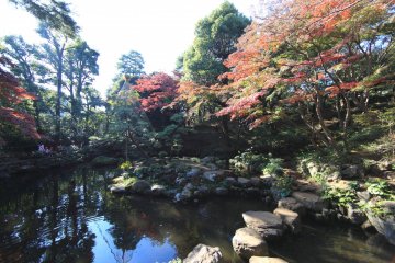 Kokubunji City - Parks & Gardens