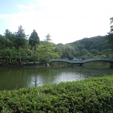 Machida City - Parks &amp; Gardens