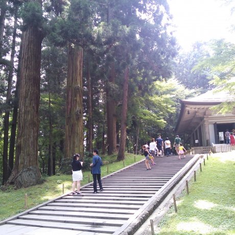 Le Chūson-ji à Hiraizumi
