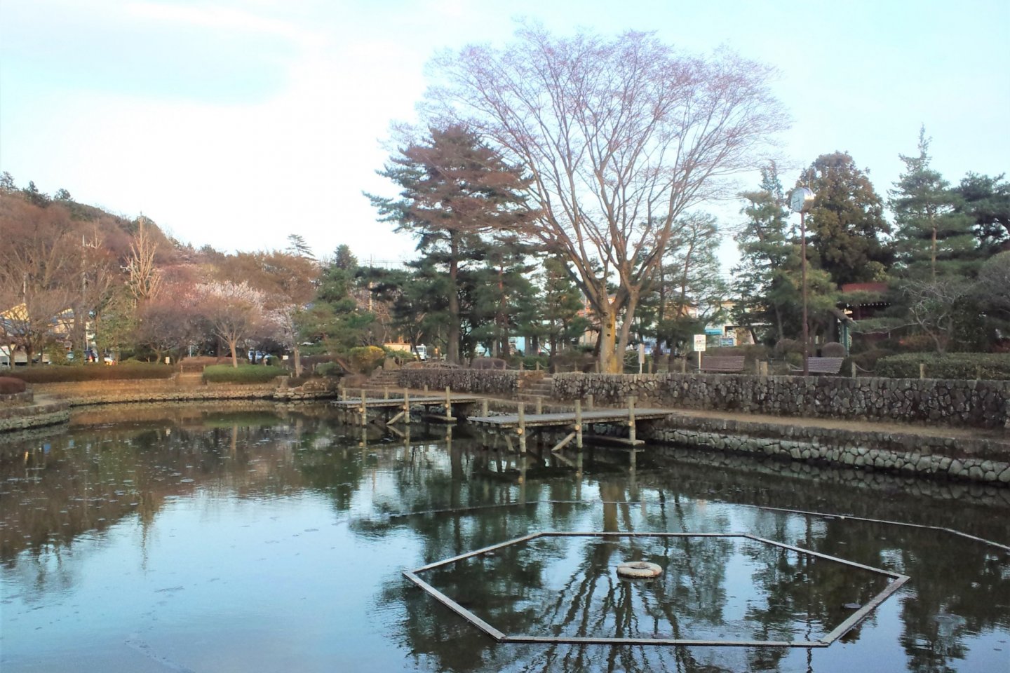 Sayamaike Park (light enhanced)