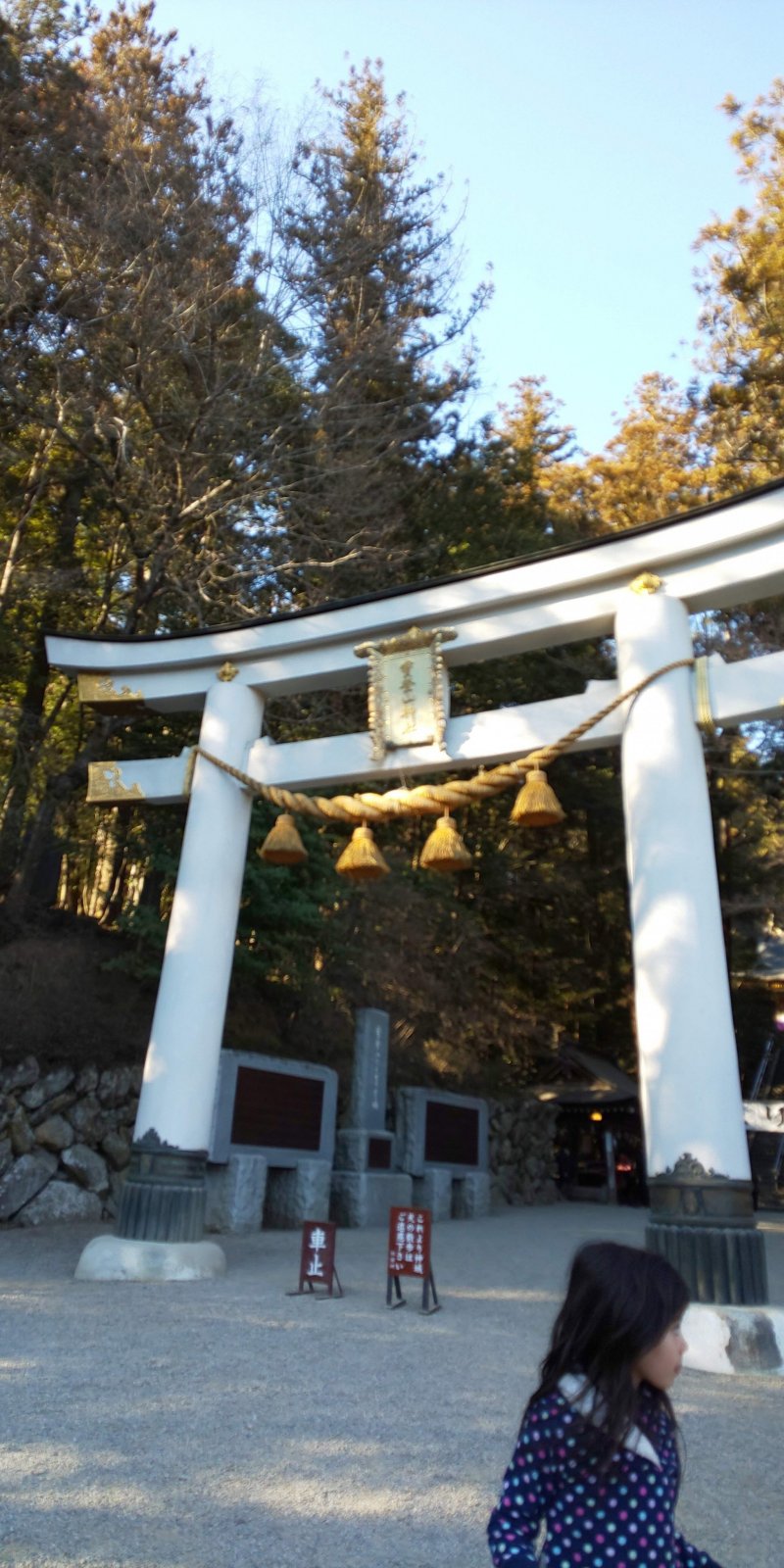 The magnificent torii to Hodosan Shrine.