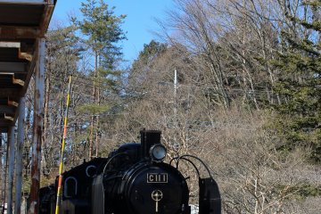 And you get to see a sample of Japan's esteemed steam trains. 