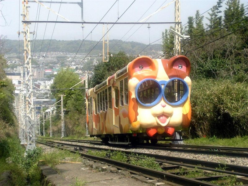 5 Adorable Train Rides in Japan - Transport - Japan Travel