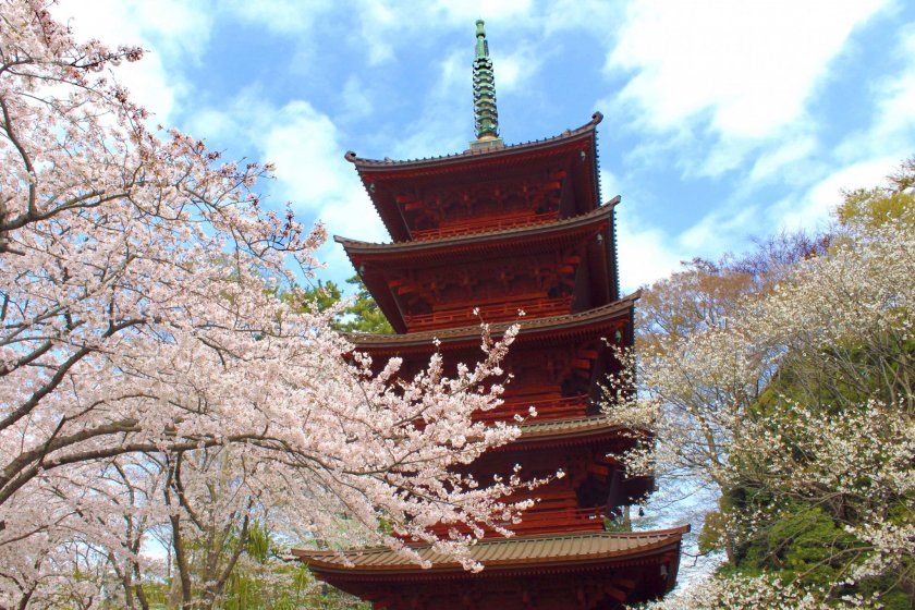 Hokekyoji pagoda in spring