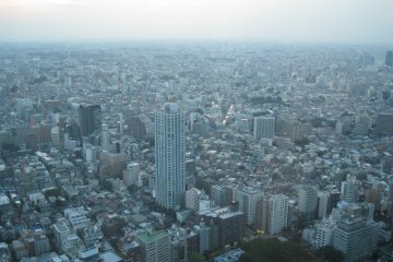 在展望室观看到的东京景色