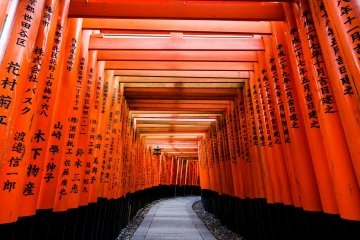 The iconic torii gates at Fushimi Inari