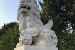 One of the two komainu, or lion-dogs, guarding the entrance to the shrine