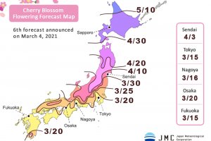 2021 Sakura Forecast