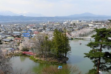 Garyu Park Sakura Festival 