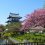 Matsumae Park Cherry Blossom Festival