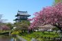 Matsumae Park Cherry Blossom Festival
