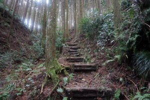 There are many stairs on the way to Kyozuka 17