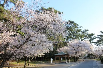 Kotohiki Park, Kagawa