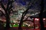 Sakura Season at Eboshiyama Park