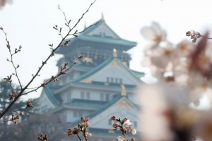 5 of Japan's Best Castles for Sakura-viewing