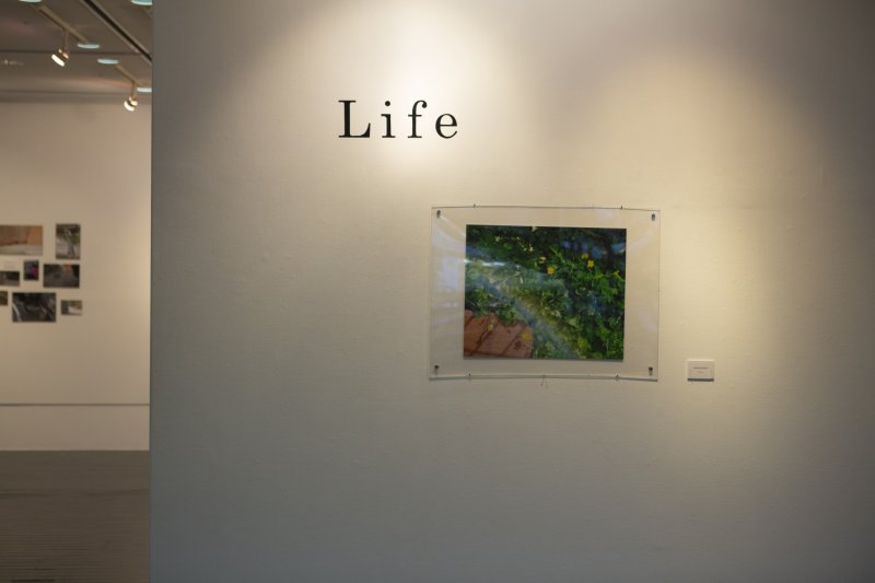 The current exhibition 'Life' hosts the work of some of Kobe's young artists