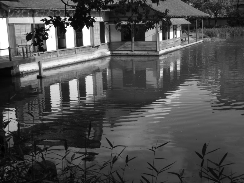 The house and pond in elegant b&w