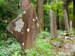 Stone markers covered in moss