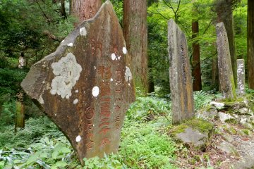 <p>Stone markers covered in moss</p>
