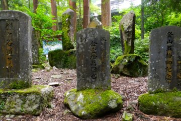 <p>Age has left these stone markers almost illegible.</p>