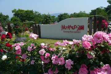 Kanoya Rose Garden, Kagoshima