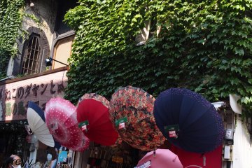 A window smothered by Virginia creepers - Below are sun umbrellas on discount sale