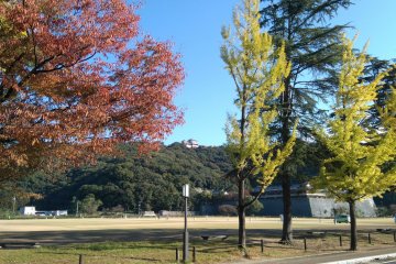 Colour palette of Shiroyama Park 