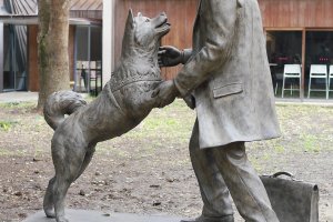 The monument to Hachiko in Tokyo University