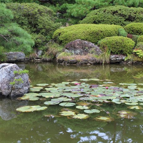 Философия и эстетика японского сада 