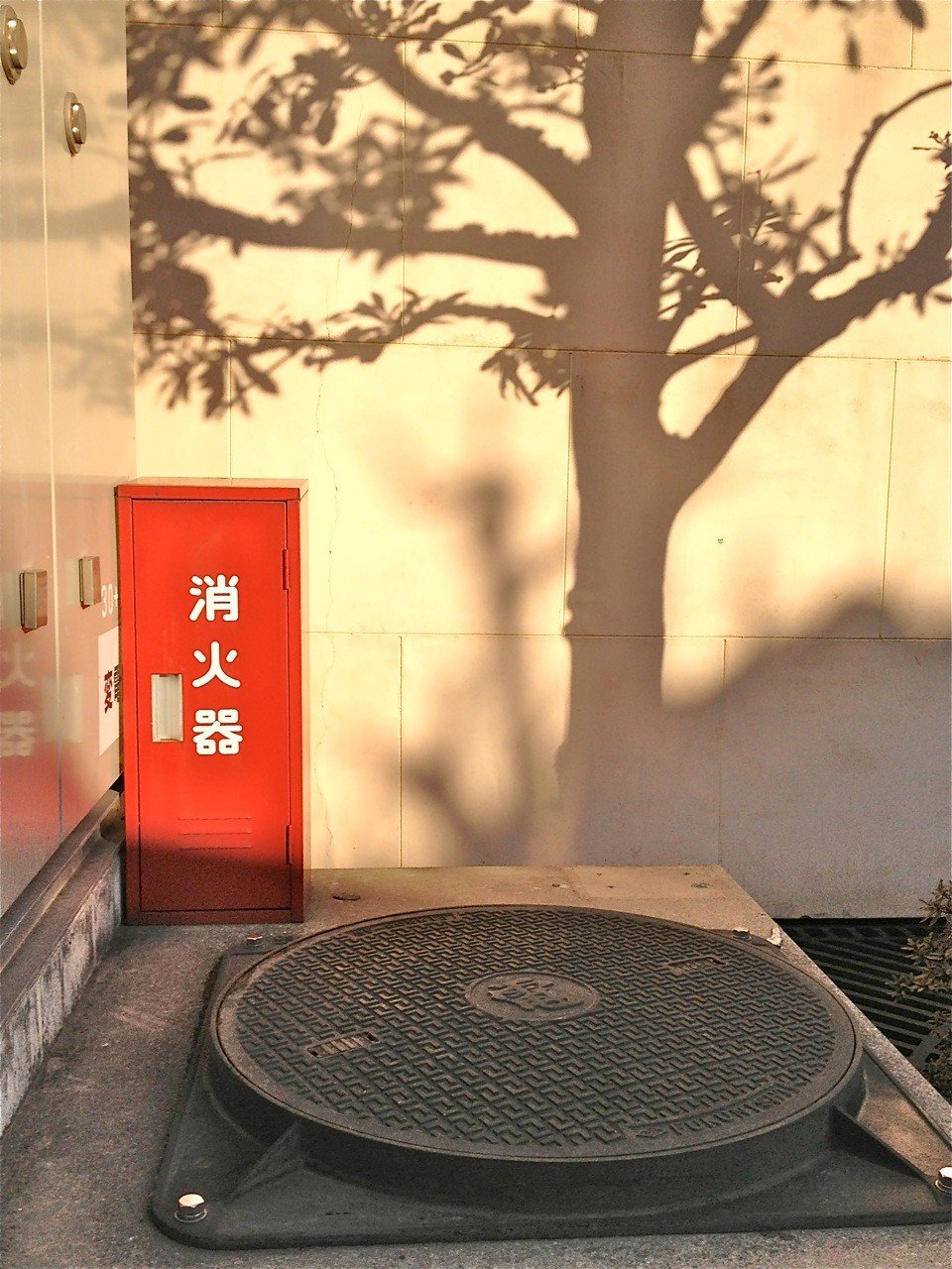 Takamatsu 2-chome, Senkawa, Toshima-ku: Manhole cover, fire hydrant and tree—nature wins the prize for best design