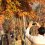 5 Fall Foliage Destinations in Tochigi