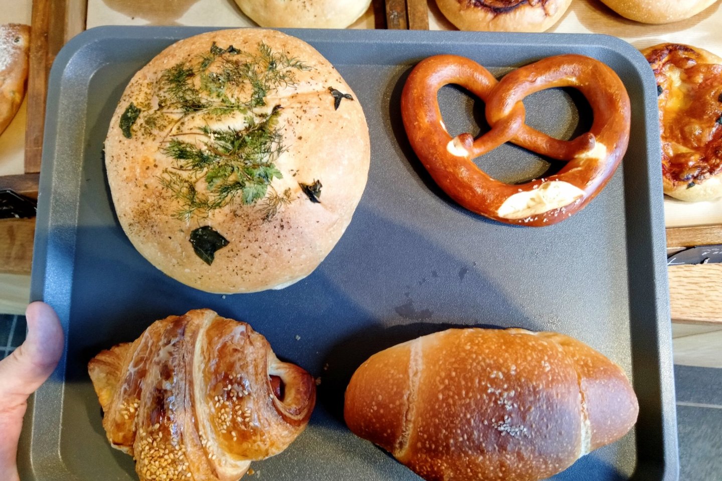 My bread haul for the trip: herb roll, pretzel, sausage croissant, and \