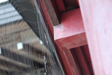 <p>Spider web at shrine entrance</p>