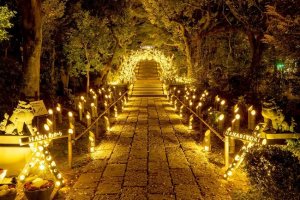 Around 1000 bamboo lights will decorate the grounds of Hana Biyori
