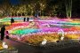 Osaka Garden of Floral Culture Illuminations