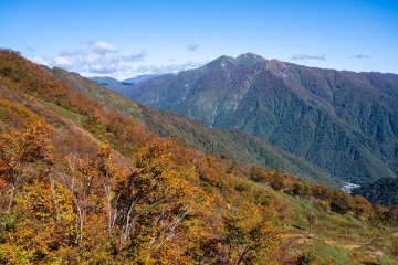 Early autumn colors at Mt. Tanigawa