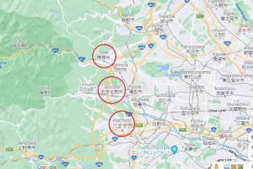 Tokyo's yuzu growing is centered in the Tama region, including Ome, Akiruno, and Hachioji